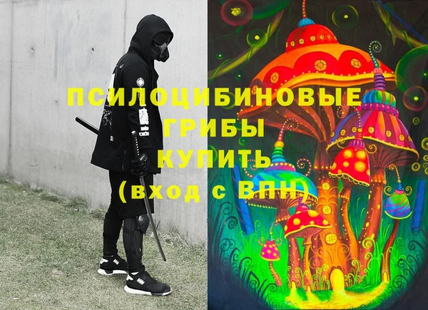 PSILOCYBIN Алексин