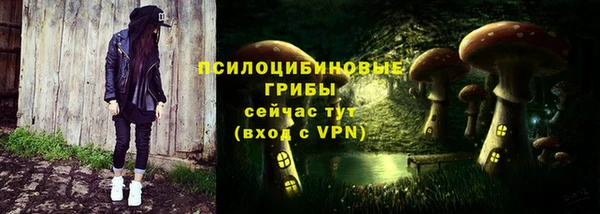 гидра Алексеевка
