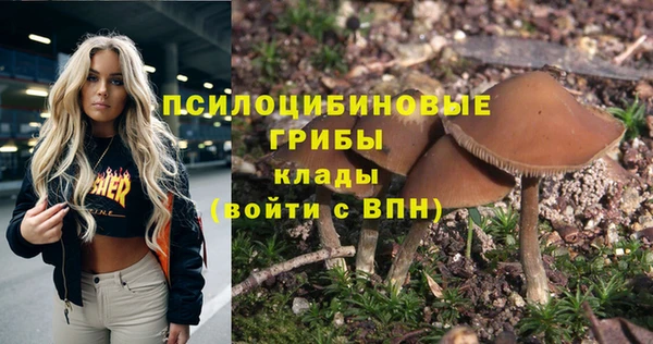 PSILOCYBIN Алексин