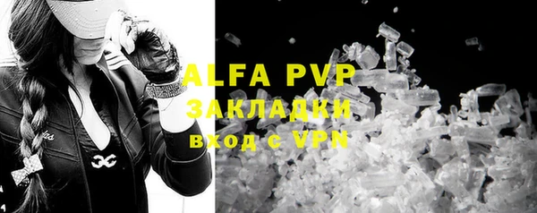 гидра Алексеевка