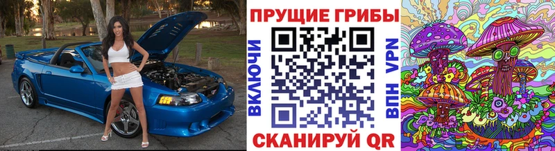 Псилоцибиновые грибы ЛСД  Нефтегорск 